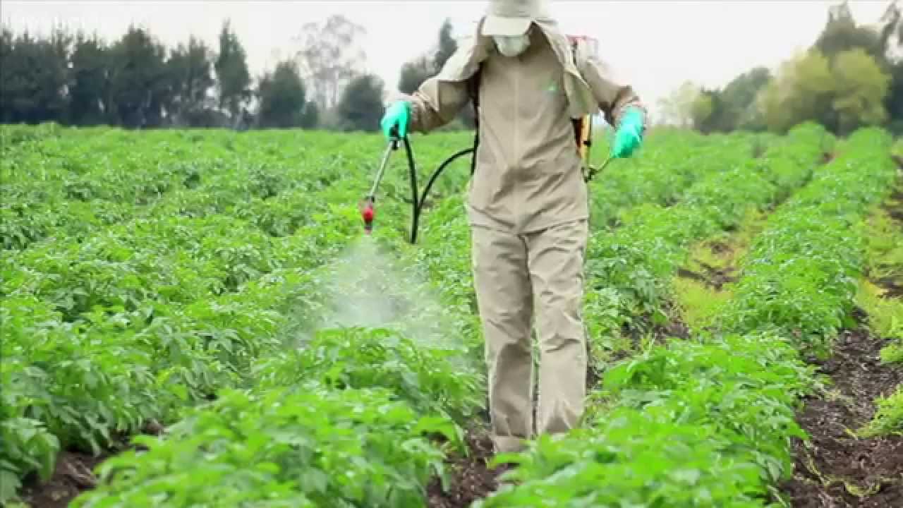 Agricultural Pesticides Use | OSHA Safety Manuals
