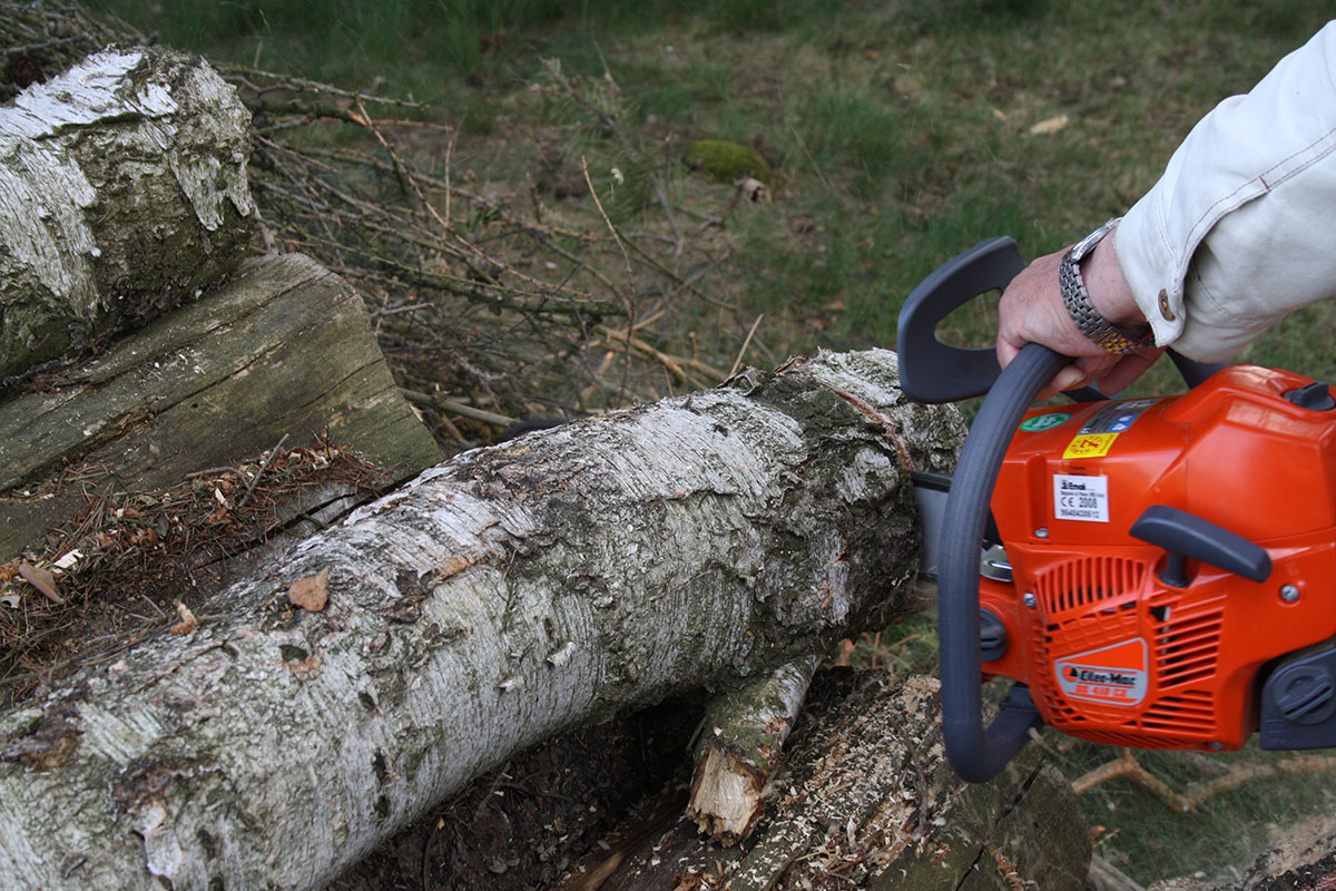 Cutting Down on Chainsaw Injuries OSHA Safety Manuals
